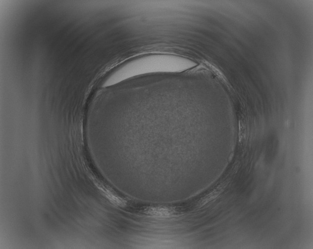 X0000082930349200702152153