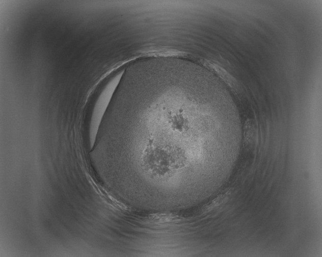 X0000082930351200702152153