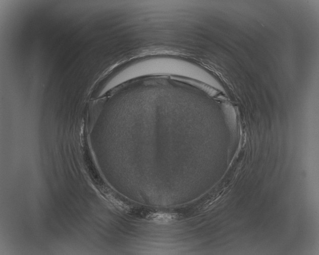 X0000082930352200702152153