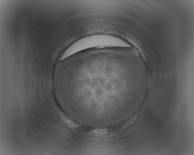 X0000082930353200702152153