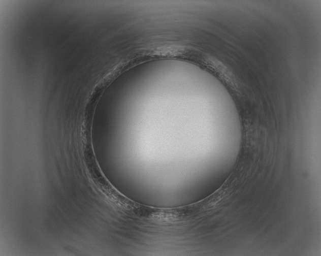 X0000082930354200702152153