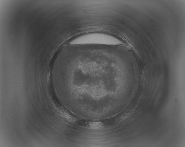 X0000082930355200702152153