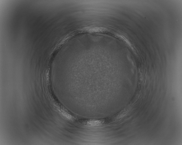 X0000082930357200702152153