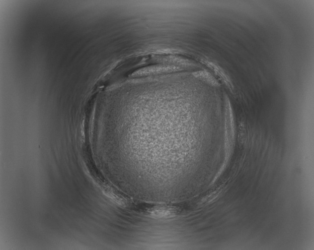 X0000082930358200702152153