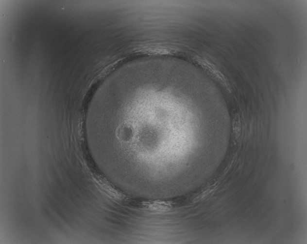 X0000082930359200702152153