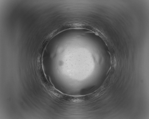 X0000082930360200702152153