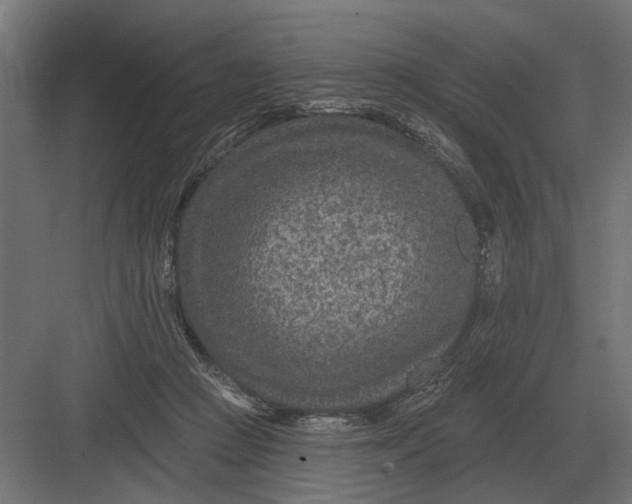 X0000082930361200702152153