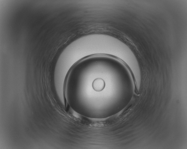 X0000082930362200702152153