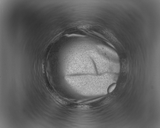 X0000082930363200702152153