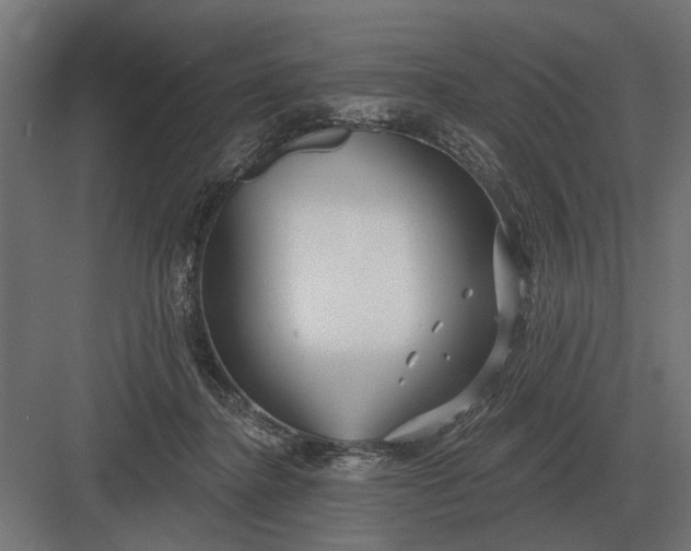 X0000082930364200702152153