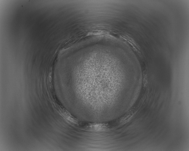 X0000082930365200702152153