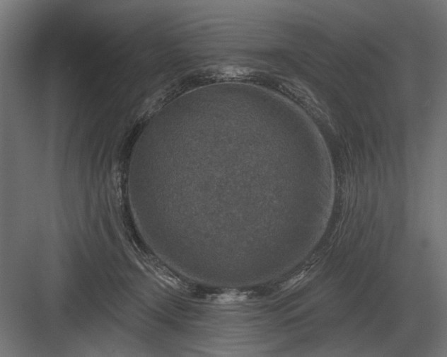 X0000082930366200702152153