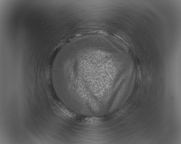 X0000082930367200702152153