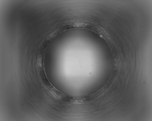 X0000082930368200702152153