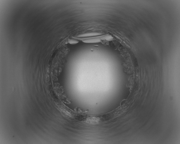 X0000082930369200702152153