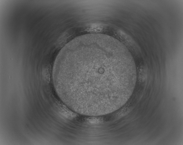 X0000082930370200702152153