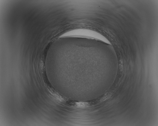 X0000082930371200702152153