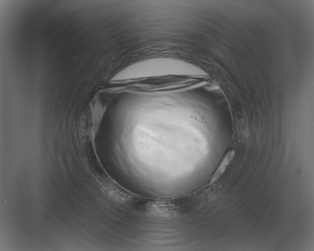 X0000082930372200702152153