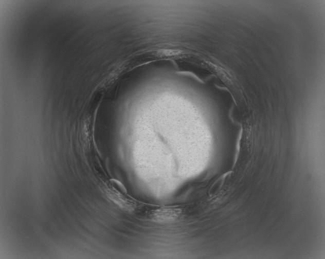 X0000082930373200702152153