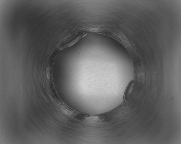 X0000082930374200702152153