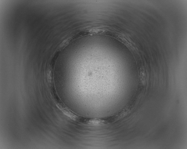 X0000082930375200702152153