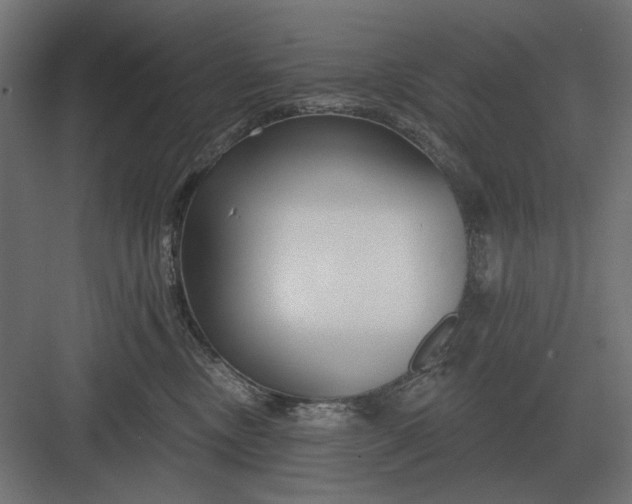 X0000082930378200702152154