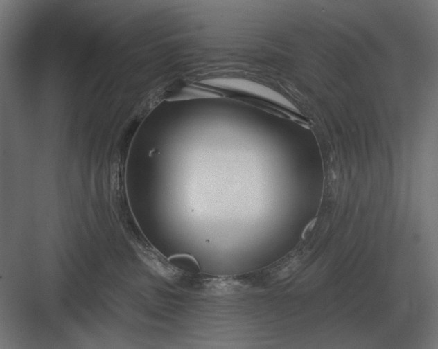 X0000082930379200702152154