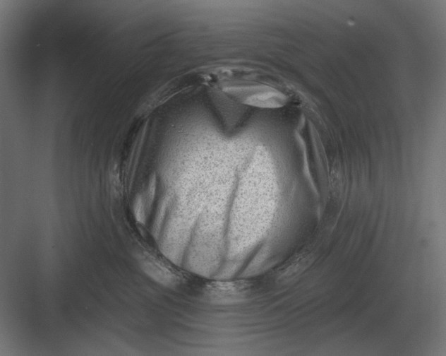 X0000082930381200702152154