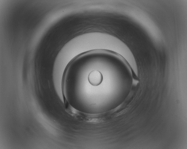 X0000082930382200702152154