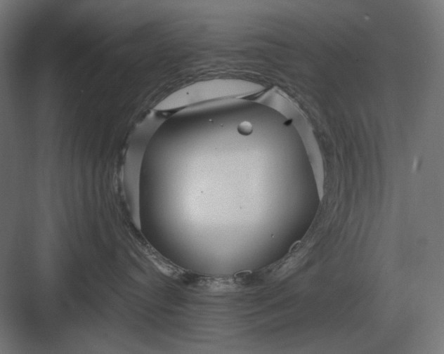 X0000082930384200702152154