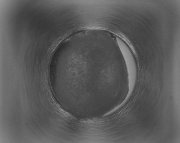 X0000082930385200702152153