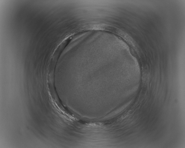 X0000082930386200702152153