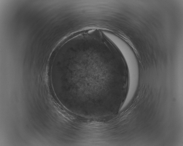 X0000082930387200702152153