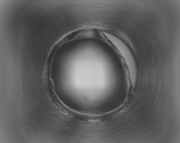 X0000082930388200702152153