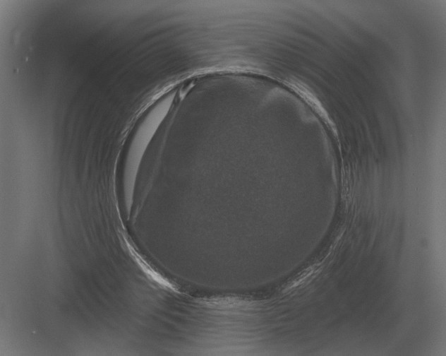 X0000082930389200702152153