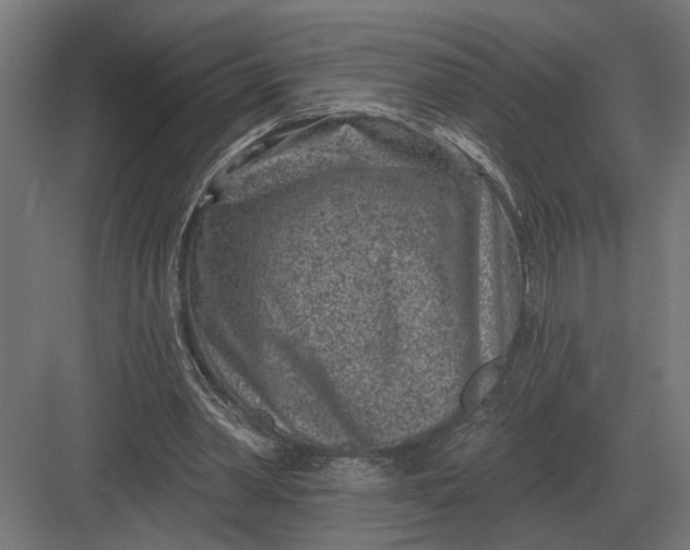 X0000082930390200702152153