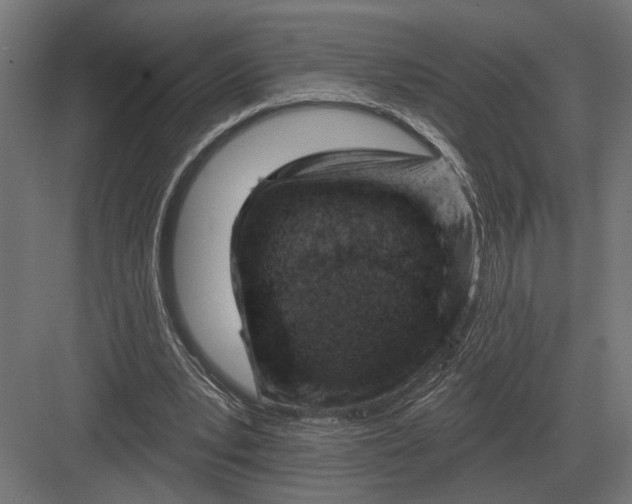 X0000082930391200702152153