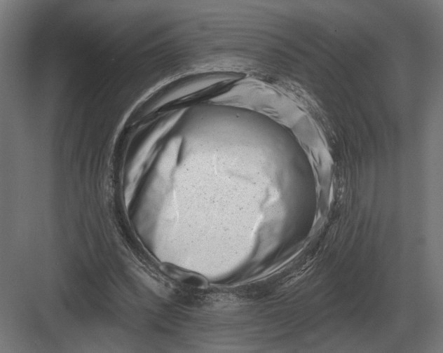 X0000082930392200702152153