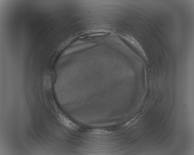 X0000082930393200702152153