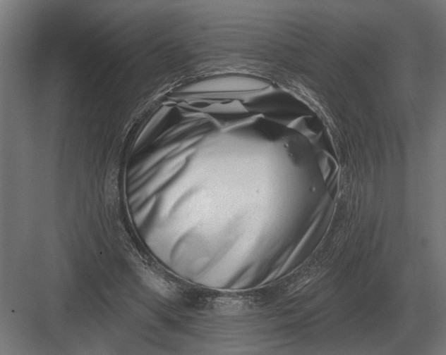 X0000082930394200702152153