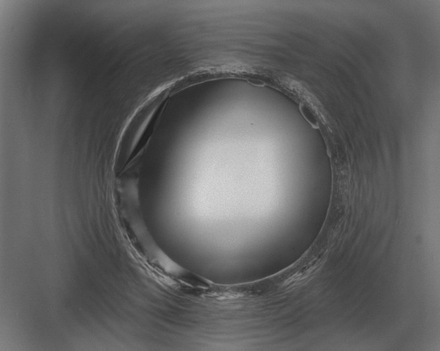 X0000082930395200702152153