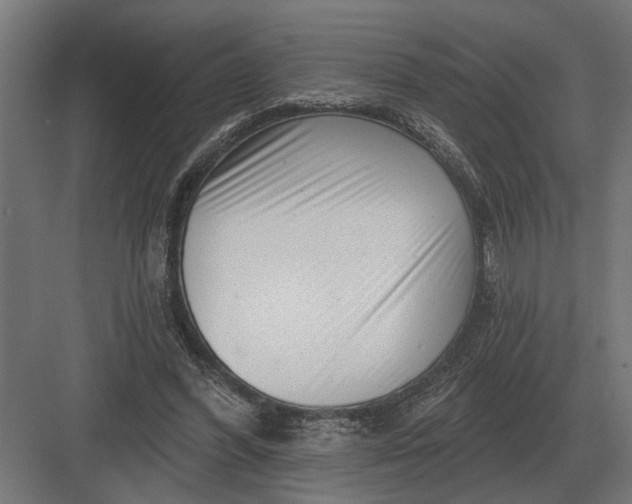 X0000082930396200702152153