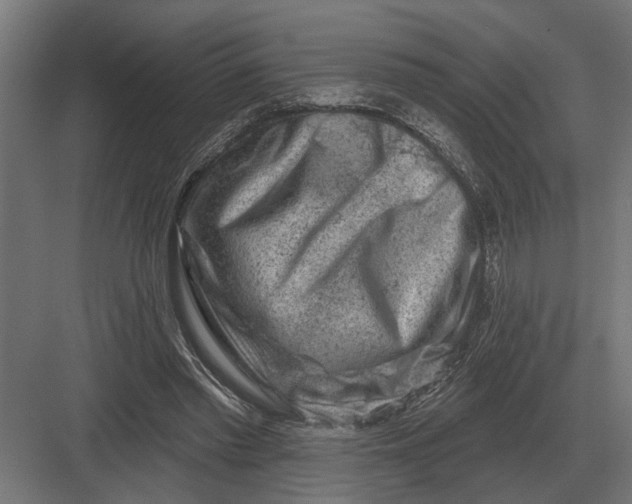 X0000082930397200702152153