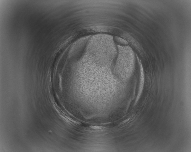 X0000082930398200702152153