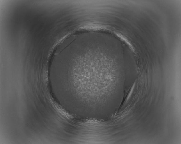 X0000082930399200702152153