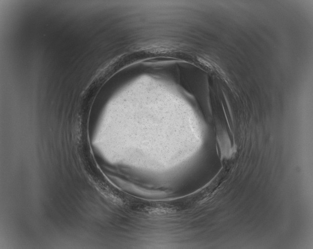 X0000082930400200702152153