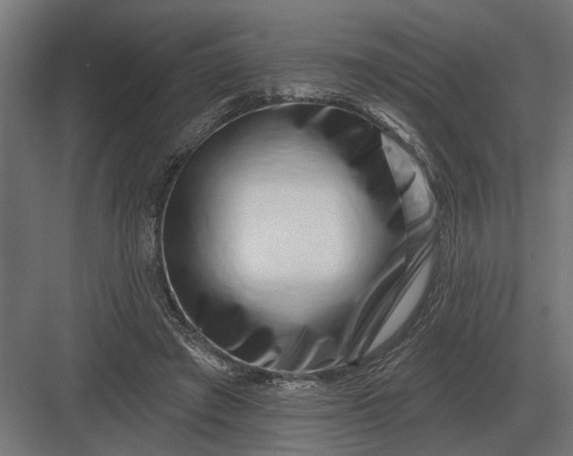 X0000082930401200702152153