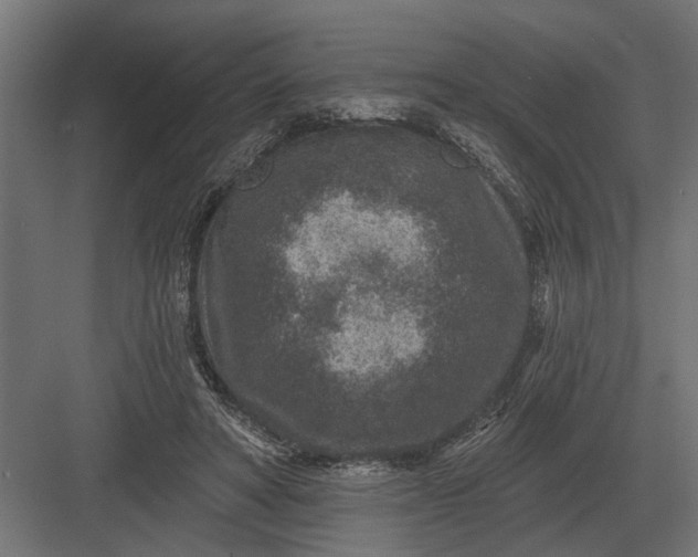 X0000082930402200702152153