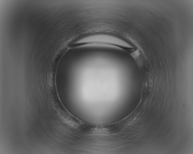 X0000082930403200702152153