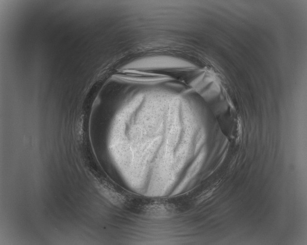 X0000082930404200702152153